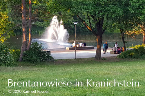 Foto der Brentanowiese in Kranichsteiin